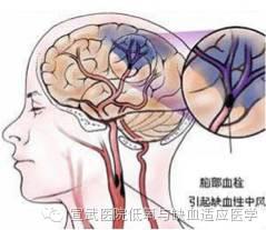 图片38.jpg