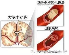 图片55.jpg 图片55.jpg
